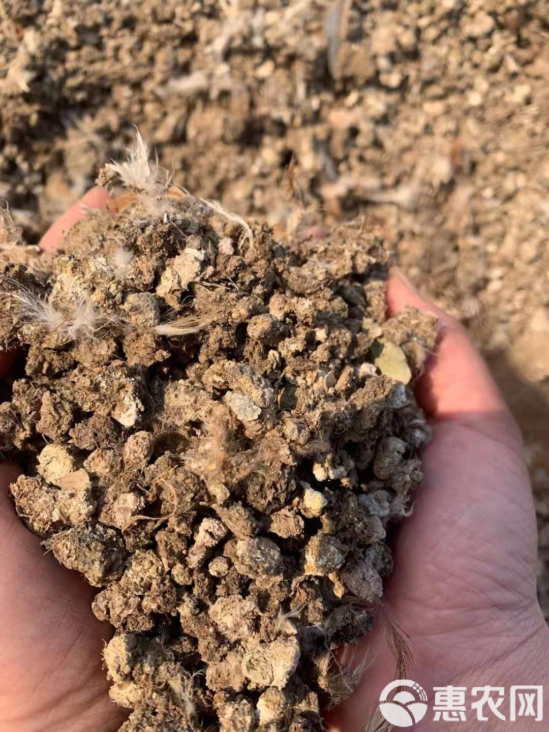 乐鱼娱乐 -苏粪壤以充帏兮